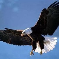 NAWAF (@ksa_nawaf1987) 's Twitter Profile Photo NAWAF (@ksa_nawaf1987) 's Twitter Profile Photo