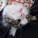 Sonia Mauricio - @SoniaMauri38736 - Twitter