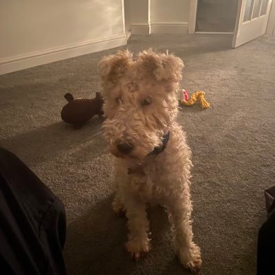 james19777946's profile picture. 💙 hillwalking