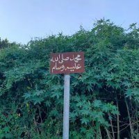 كل شي حولك نعمة❤️‍🩹 (@rn8z6) 's Twitter Profile