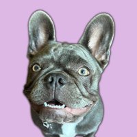 Koda Von Hustle (@kodavonhustle) 's Twitter Profile