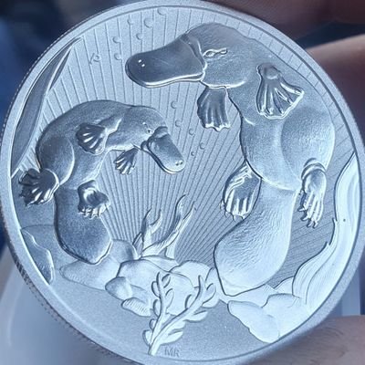 SilverHaas's profile picture. #silversqueeze

Silver is the money of kings