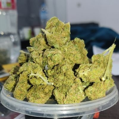 ☢️♻️🧪زندگی کن بزار بقیه ام زندگی کنن !🚬☢️🏞️🙏🚬
فروشنده سراغ ندارم 🙏🚬
