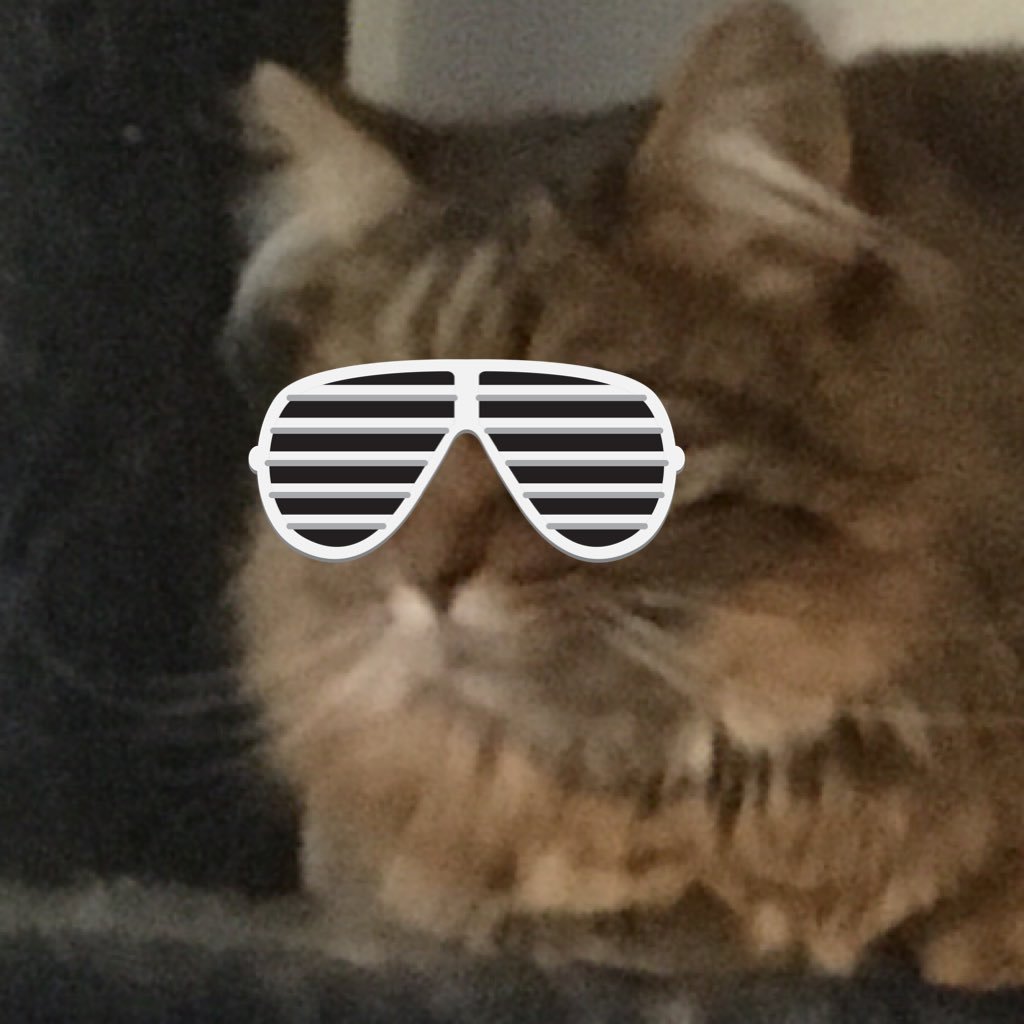 Minister of Sinister, Meow ,couch scratcher, keep an eye on humans, dare you to scratch my belly