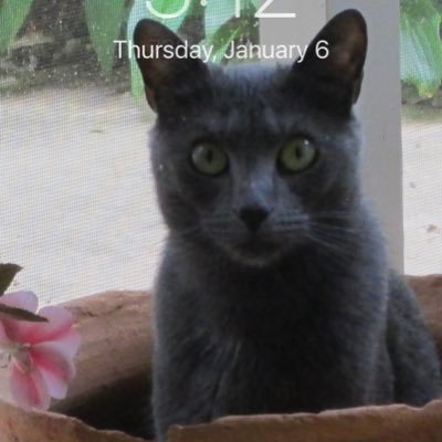 oldfogeyliberal's profile picture. 