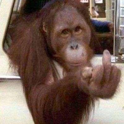 redstang94's profile picture. Hairless Wookie