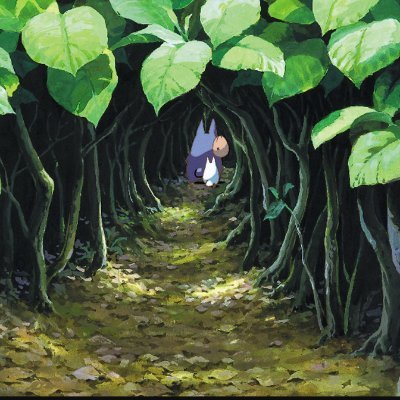 nightyoru7's profile picture. 慶應通信2023春入学77期 福岡在住　ドイツゼミナール所属