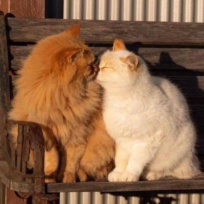 _1greenflower1_'s profile picture. 