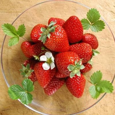 عاشق ماجراجویی. مامان گل پسرا. سر سپرده ولایت باهام مهربون باشی مهربون تر از من نمی بینی