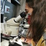 Biologist
PhD Student in @CBGP_Madrid @etsiaab comparative genomics and metagenomics @cgmlaboratory
de mar i de muntanya