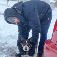 Craig Moyer (@craig_moyer) 's Twitter Profile Photo Craig Moyer (@craig_moyer) 's Twitter Profile Photo