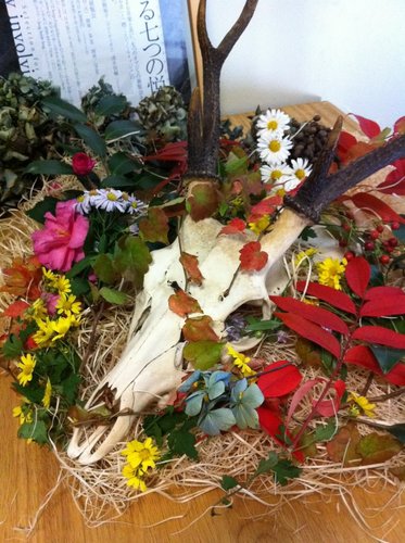 hikaruibiza's profile picture. 未来の原始人を目指し日々修行中
地球をこよなく愛します