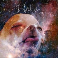C̷̖͊̉̉h̵͈̔ṵ̵̱͋̐n̶̲̺͂̿k̴͖͍͇͋̈́̈́ (@chunkiest_chunk) 's Twitter Profile