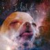 C̷̖͊̉̉h̵͈̔ṵ̵̱͋̐n̶̲̺͂̿k̴͖͍͇͋̈́̈́ (@chunkiest_chunk) Twitter profile photo C̷̖͊̉̉h̵͈̔ṵ̵̱͋̐n̶̲̺͂̿k̴͖͍͇͋̈́̈́ (@chunkiest_chunk) Twitter profile photo