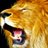 5548123's profile image