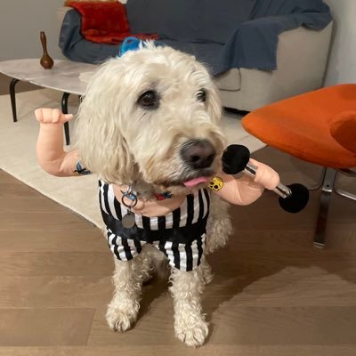 mcshorty42's profile picture. 