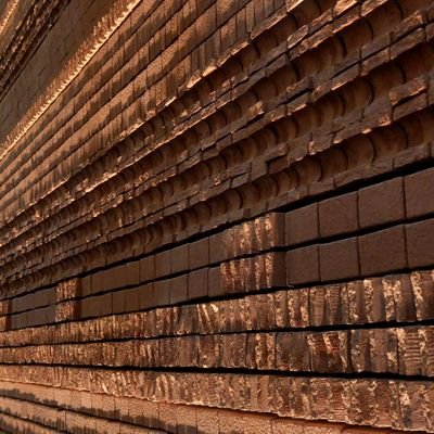 afh77788bh's profile picture. 