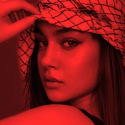 mohdese_qazi's profile picture. 🐾