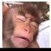 Only For Fun (@onlyfor34352726) Twitter profile photo Only For Fun (@onlyfor34352726) Twitter profile photo