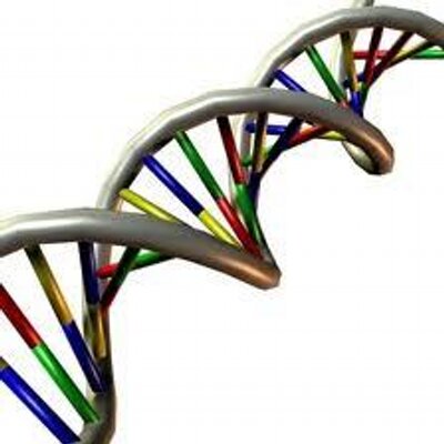 生物英語 Glossaryofbio Twitter