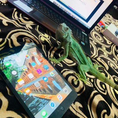 CesarLumbr77262's profile picture. 