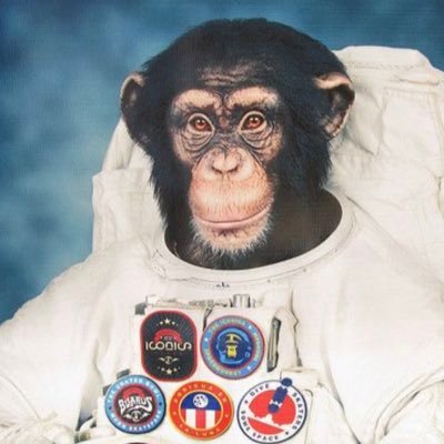 monkeynaught83's profile picture. Okayest energy lawyer in the business