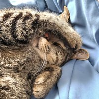 Edna B. (@oldsoul3333) 's Twitter Profile Photo Edna B. (@oldsoul3333) 's Twitter Profile Photo