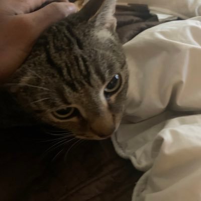 zonman444's profile picture. | 21 yrs male seller| DM for menu| edtwt