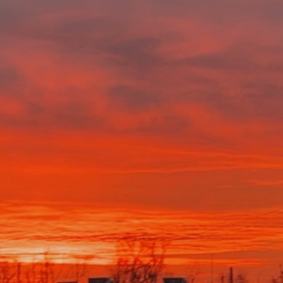 ChuckBrown001's profile picture. 