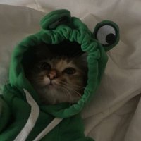 hearty 🍉 (@o_hearty_) 's Twitter Profile