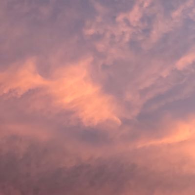 nine_tulip's profile picture. Don't think too hard, just have fun with it.