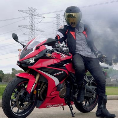 Thunderdogzero's profile picture. Here