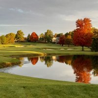 R.R. (@thegrassjanitor) 's Twitter Profile