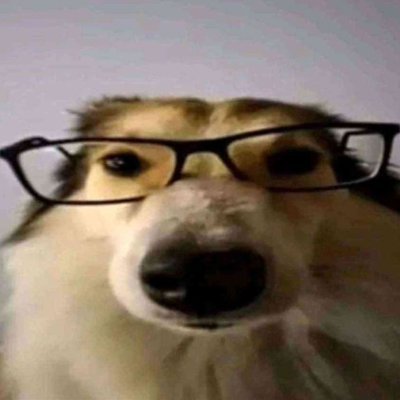 @Ryans0ck