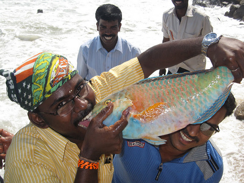 sankardeena's profile picture. 