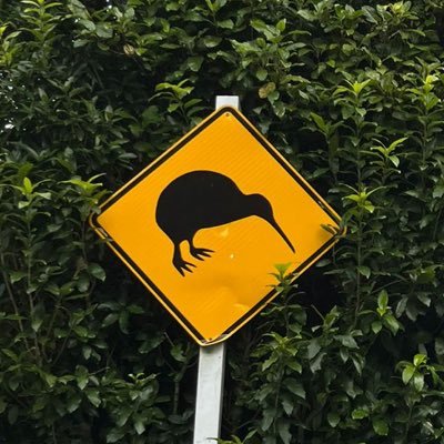 Nosabemucho's profile picture. No sabe, no responde