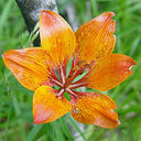 Justine Barker - @JustineBarker1 - Twitter