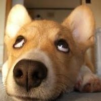 Matilda (@balakholiya) 's Twitter Profile