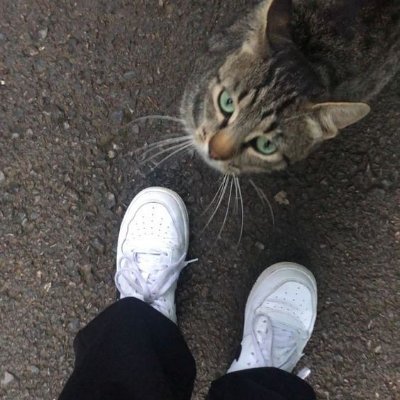 Anaaakao75's profile picture. #Entrepreneur → #Investor → Businesses 
Russian • Part-Time Artist • Avid Hiker • #SpreadingPositivity • #NoPolitics 🙅‍♂️
No DM for spam or irrelevant messages