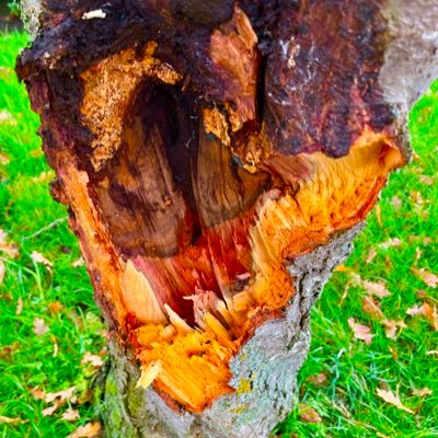 Photography_Bo1's profile picture. If you like it , then it's right .