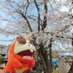 おゆうま (@yuuuuuma51) Twitter profile photo おゆうま (@yuuuuuma51) Twitter profile photo