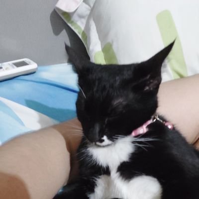 quellry's profile picture. Me