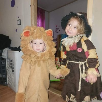 IanCheibub's profile picture. Investor, Entrepreneur, Trader & Reverse Engineer