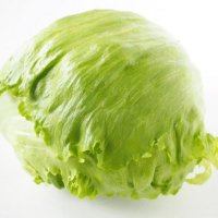 レタスおばさん(@lettuce__lady) 's Twitter Profile Photo