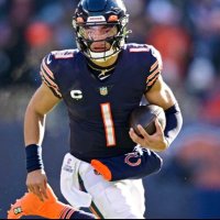 BearsMSR (@msrsalmon215) 's Twitter Profile
