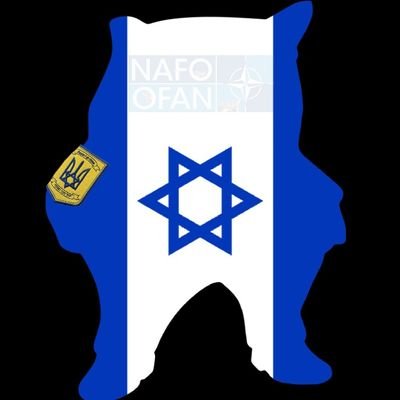 NAFOGershom Profile Picture