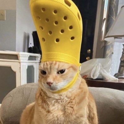 hibaebaeee's profile picture. 