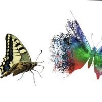 Mattia Bianchi (@mattia_bianchi) 's Twitter Profile