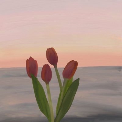 pinksun3003's profile picture. people are idiots