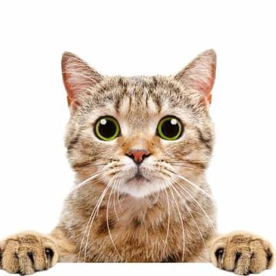 NateEyeSky's profile picture. Trends for @CwrNew, @zee_pruk